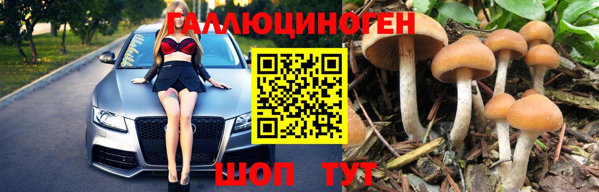 Липецк  Галлюциногенные грибы ЛСД  Вход с VPN 